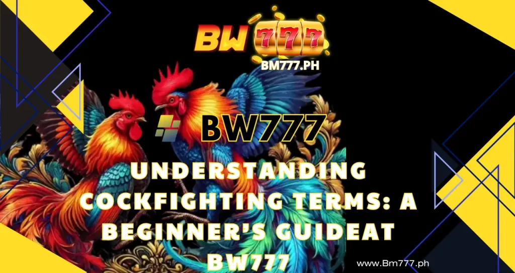 Understanding Cockfighting Terms A Beginner’s Guide